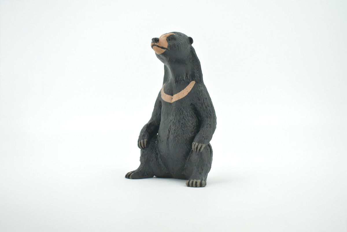 Sun Bear, High Quality, Realistic, Figure, Model, Replica, Toy