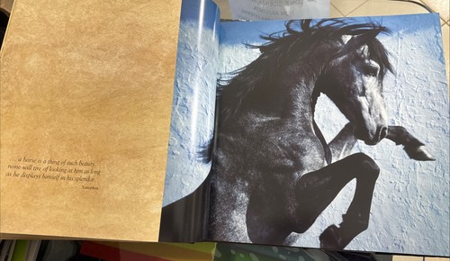 VAVRA'S VISION EQUINE IMAGES, 60-year Retrospective World’s Premier Phot. Horse - Foto 4 di 8