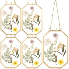 5 Pcs 4 x 6 Inches Glass Pressed Flower Frame, Hanging Floating Picture Frame...