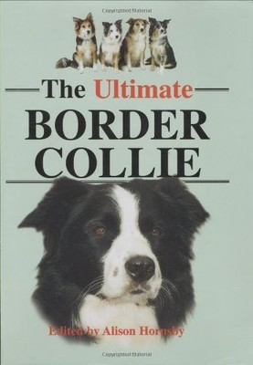THE ULTIMATE BORDER COLLIE By Alison Hornsby