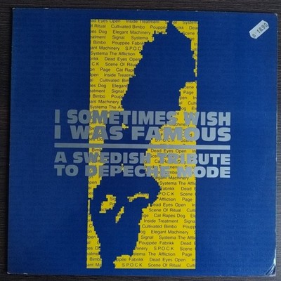 I Sometimes Wish I Was Famous - A Swedish Tribute To Depeche Mode