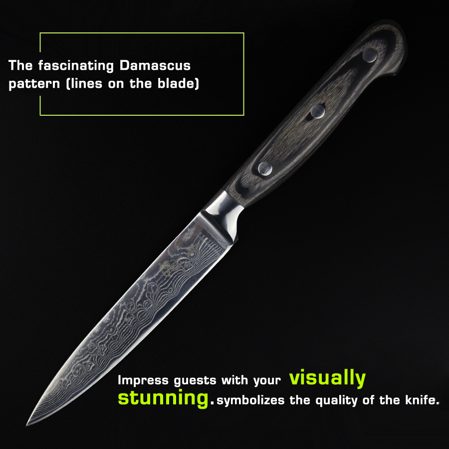 5Pcs Set Knives inches chef knife layers Japanese Damascus steel