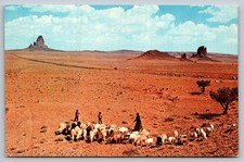 Navajo Sheep Herders Monument Valley Postcard El Capitan Burnt Foot Butte