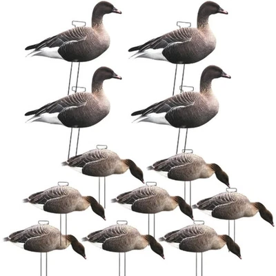 12 x Pack Silhouette Pinkfoot Gänseköder mit Pfählen - Bild 1 von 3