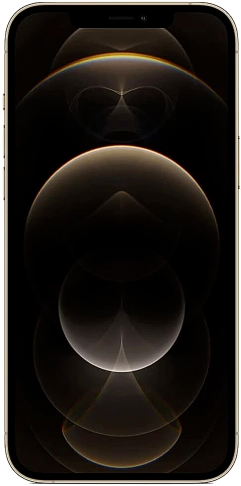 APPLE | iPhone 12 PRO MAX ✪256GB✪ MG9H3LL/A A2342 GOLD REAR