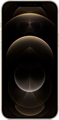 APPLE | iPhone 12 PRO MAX ✪256GB✪ MG9H3LL/A A2342 GOLD REAR