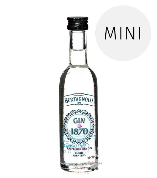 Bertagnolli Gin 1870 Raspberry Dry Gin Mini / 40 % Vol / 0,05 Liter-Flasche-image
