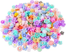 300PCS Flower Resin Charms Mini Cabochons Flatback Beads Mixed... 
