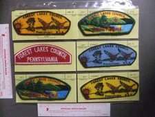 Boy Scout Forest Lakes C PA CSP RWS 1459OO