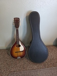 Vintage Mandolin Harmony 2 Strings broken