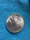 1923-P Peace Dollar 90% Silver - Brilliant Uncirculated.  Nice Original luster!