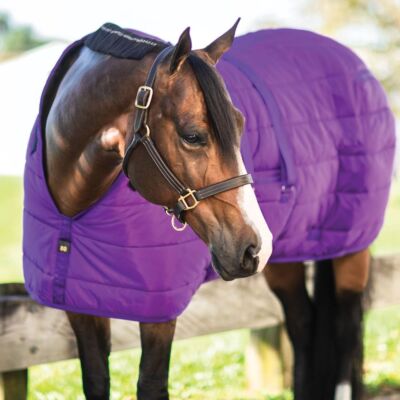 Couverture écurie cheval 400 g Rambo Optimo Stable - Horseware