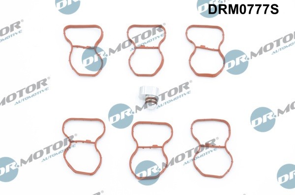 Dr.Motor Automotive Dichtungssatz AnsaugkrüMmer FüR BMW X5 X6 7 5 3 X7-image