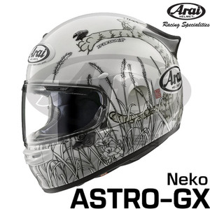 Arai Astro-C 95年元年シュワンツ31番 新品未使用 Mサイズ Arai Astro GX | eBay