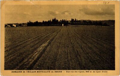 Old postcard Domaine de l'Eclair Mutualite du Rhone - A View of the Vines (1036069)