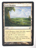 Vivid Meadow 279/301 Lorwyn MTG Magic the Gathering LP