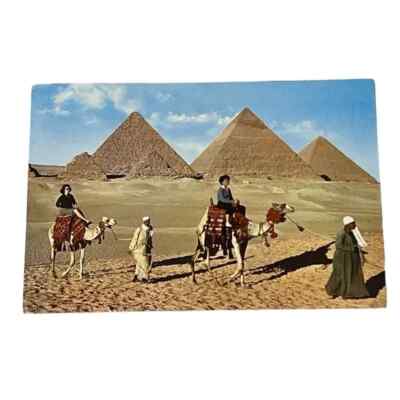 Postcard Tourist Camel Ride Near the Giza Pyramids Egypt 4x6 Vintage A406