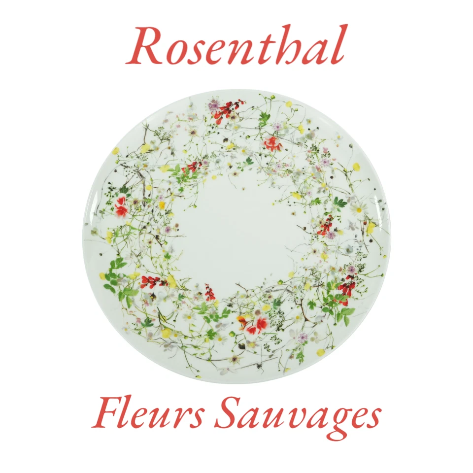 Rosenthal Brillance Fleurs Sauvages Platzteller 32 cm coup