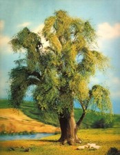 Weeping Willow Tree Vari-Vue 3-D Lenticular Picture 8 by 10 inch NEW Great 3-D!