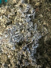 Mullein + Marshmallow + Raspberry Leaf - Healing Organic Herbal Mix - 1 lb Pound