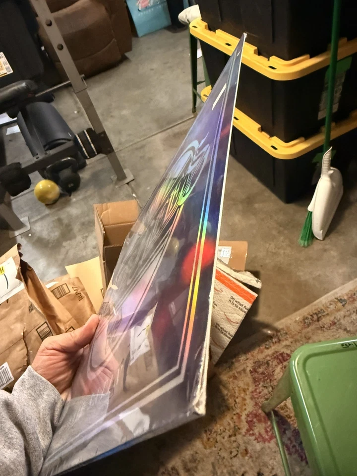 Hail Satin Dee Gees RSD Limited Edition Vinyl LP 2021 Grohl Sealed Foo Fighters - Image 4 of 4