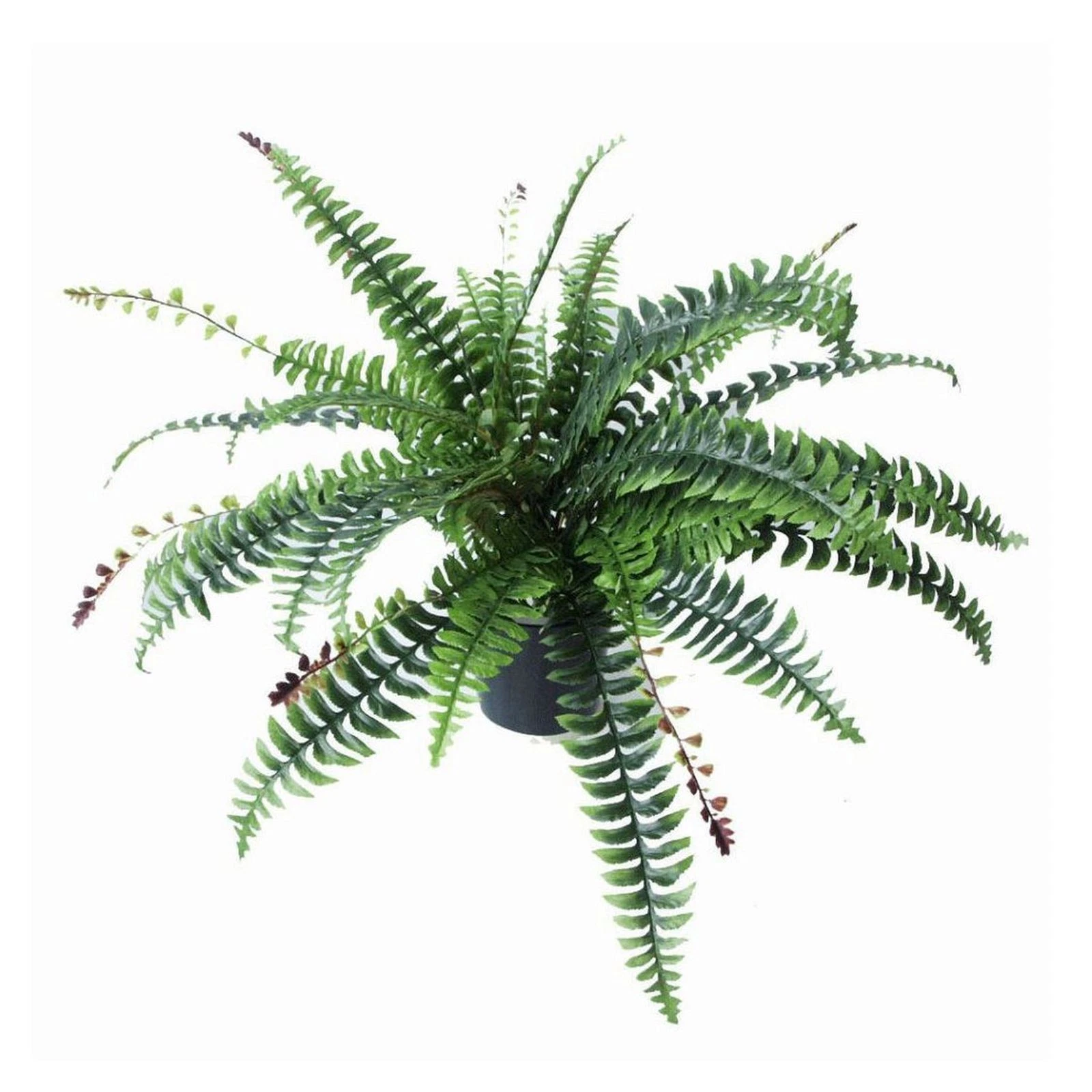 Artificial Fern 60cm Green Realistic Foliage Plant with Pot, Plastic Leaves Luxe