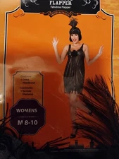 Flapper Halloween Costume Dress Shimmery Silver Gray Women's Medium 8 - 10 New