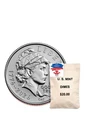 Semiquincentennial Dime 2026 Rolls and Bags ~ Emerging Liberty ~ In Hand