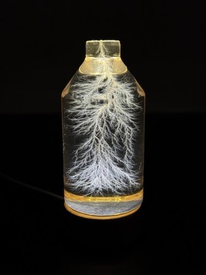 Lichtenberg Figure 2x3 Bottled Lightning (restocking, expected in 1 month)