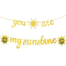 My First Birthda Decorations Happy Birthday Banner Girl Baby Hanging for