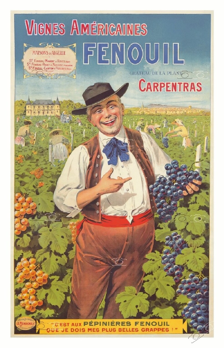 Poster Pub Vintage Vin Fenouil Carpentras 50x70 Cm – Affiche HQ PostersAndCo
