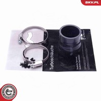 Esen SKV Ladeluftschlauch 43SKV011 FüR Renault Laguna 3 BT0 KT0 Dci BT00 BT0A