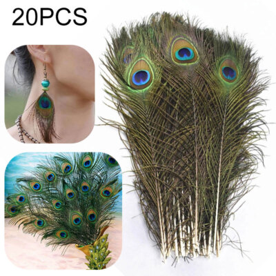 20X Pfauenfedern 25-30cm Natur Deko Federn DIY mit Pfauenauge Hutschmuck Basteln