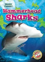 Rebecca Pettiford | Hammerhead Sharks | Buch | Englisch (2023) | Shark Frenzy