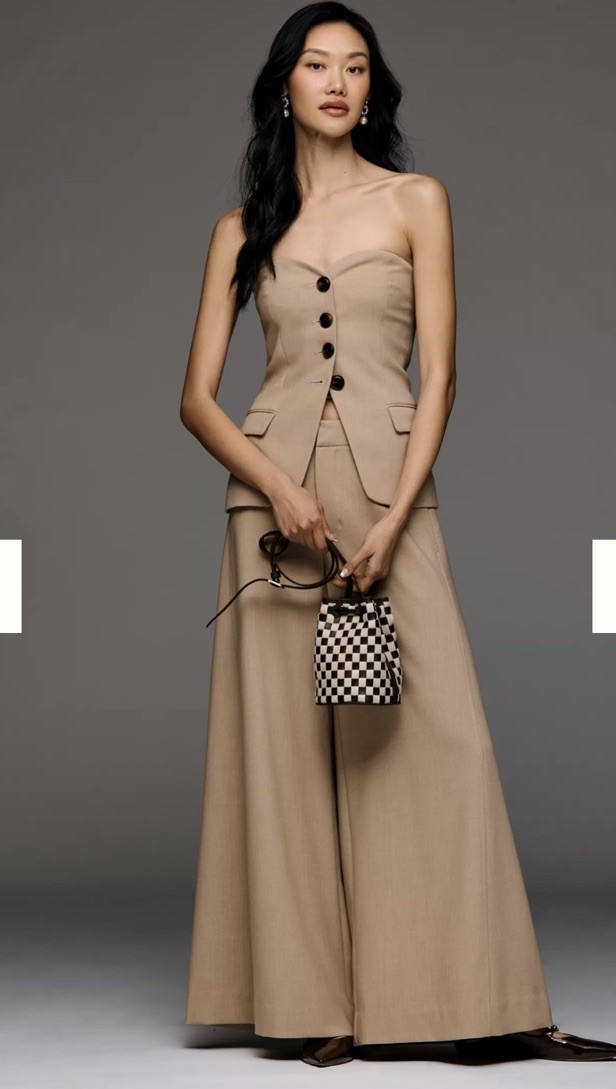 NWT Anthropologie Tailored Palazzo Pants Size 0 Camel