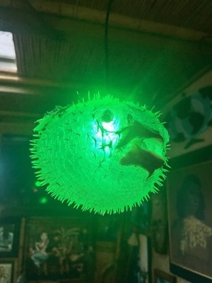 NEW 10 -11  Pufferfish Lamp w/Green LED Tiki bar Oceanic Smokin  Tikis