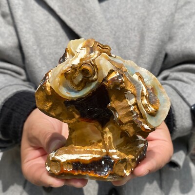 1.4lb Natural Symbol Agate Tubular Agate crystal quartz Collection Specimen