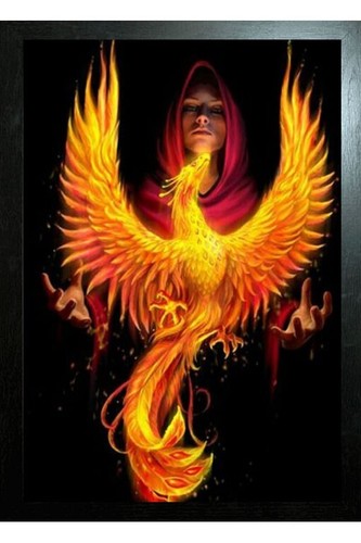 BLACK FRAMED ANNE STOKES ART - PHOENIX RISING 3D PICTURE PRINT 325mm x ...