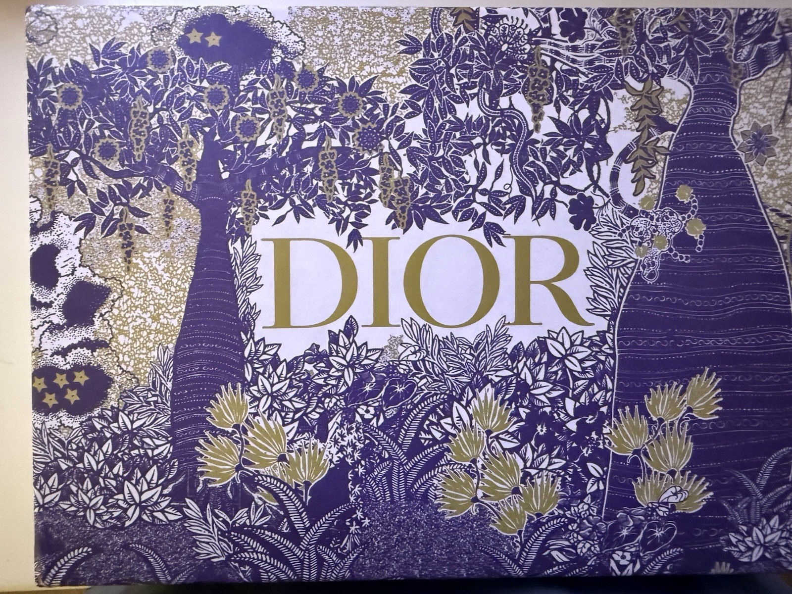 Dior Low Top Sneakers