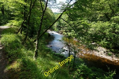 Foto 6x4 Hufeisenfälle, Fluss Dart Holne durch die Bäume gesehen von t c2014