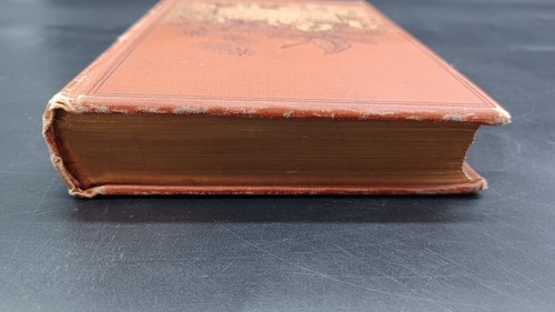 Goethe H.c. Book 1874, Rare Antique Book Of Poems. C1782 - Foto 8 di 19