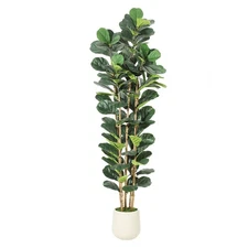 7Ft Artificial Fiddle Leaf Fig Tree with White Pot, Fake Ficus Lyrata Tree Decor