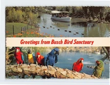 Postcard Busch Bird Sanctuary Boat Tour Palm Area Trained Parrots USA
