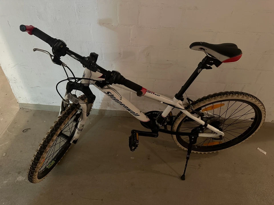 Speppenwolf Custom Bikes Twixter Kinder Fahrrad 24Zoll 21 Gang , gebraucht