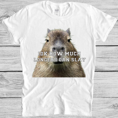 T-Shirt Idk How Much Longer I Can Slay Capybara sarkastisch Dan Meme Geschenk M945