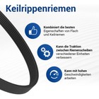 Bild 9 von 12