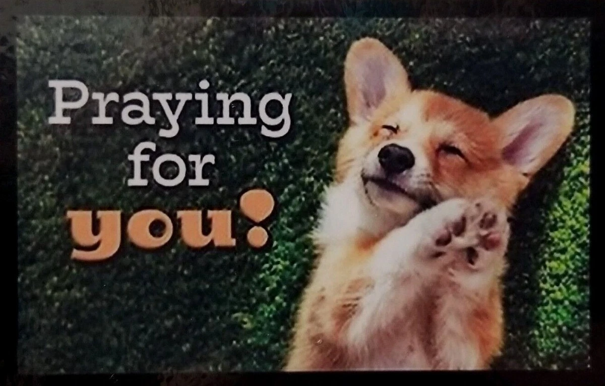 Dogs Praying