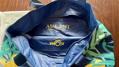 New Disney Aulani Aloha Collection X Splash Proof Zipper Tote