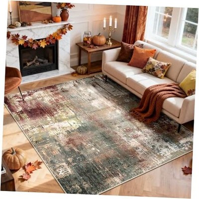 Washable Area Rugs 5'x7' Non-Slip Modern Abstract Soft for Living Room 