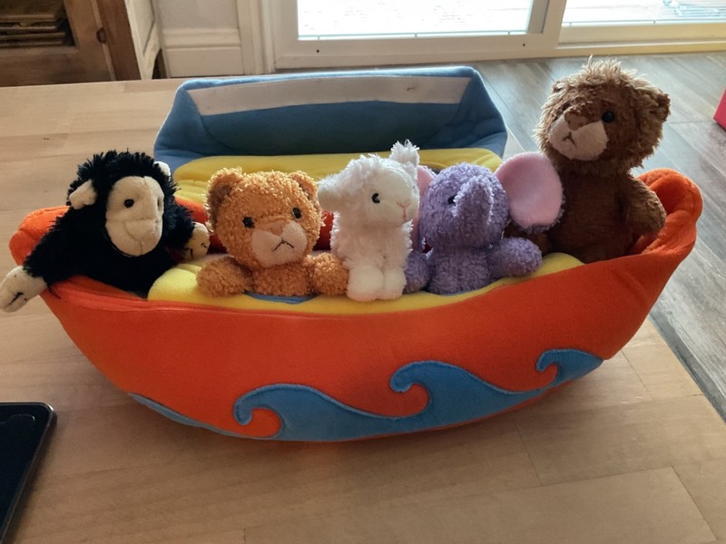 FAO Schwarz Baby Noahs Ark Soft Boat Play Set 5 Rattle Plush Animal Lion Giraffe